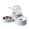 4 Style Pet feeder Bowl - OhanaGadget