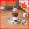 4 Style Pet feeder Bowl - OhanaGadget