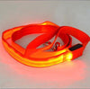 THE GLOWING LED DOG LEASH - OhanaGadget